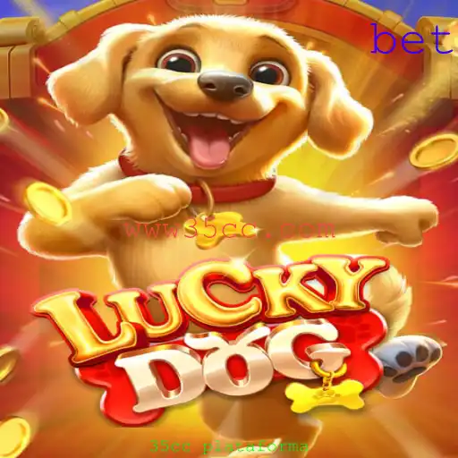 Descubra o Fascinante Mundo de LuckyDog na Plataforma 35cc
