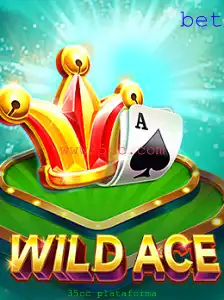 Conheça WildAce: Um Mergulho na Aventura da Plataforma 35cc